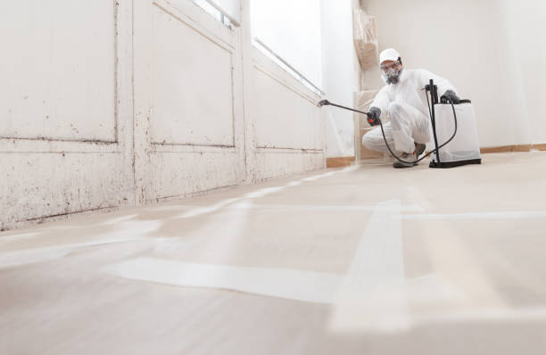24/7 Emergency Basement Mold Remediation experts in Highspire, PA